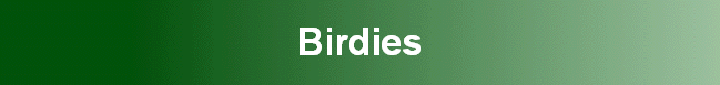 Birdies